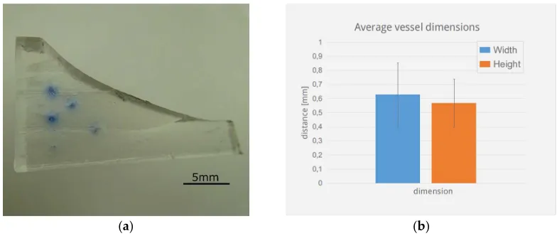 Figure 3. Perfusion test of the earlobe-shaped channel system at three different stages by manual injection of ink (Pelikan AG)