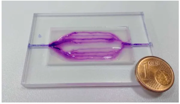 Figure 5. Alginate based microfluidic device in the shape of 2D branched structures. 