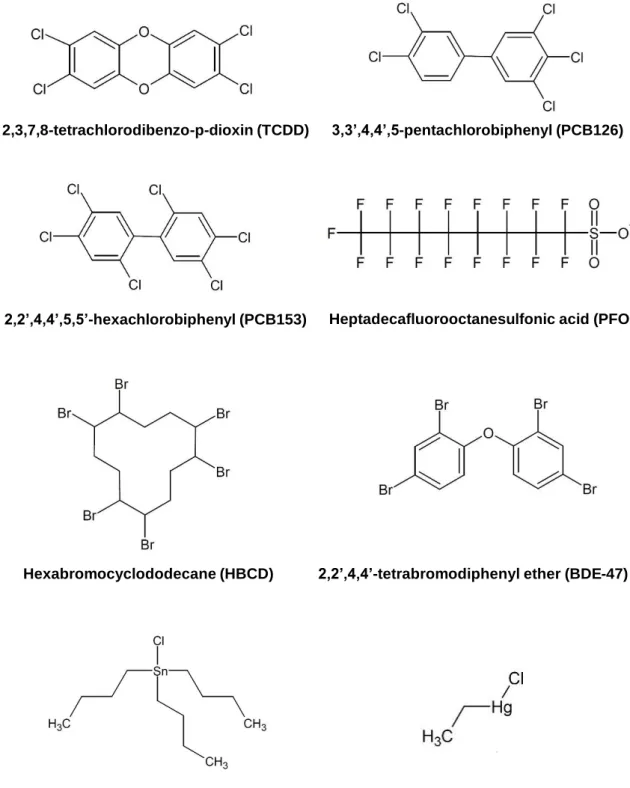 Figure 2: Molecular structures of the tested POPs. 49  Eight different POPs present in the  human seafood chain were chosen based on their relative abundance in polluted eel and  different mechanisms of action