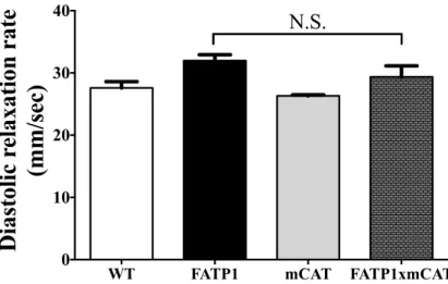 Figure 34. FATP1xmCAT mice show no change in cardiac diastolic dysfunction. 