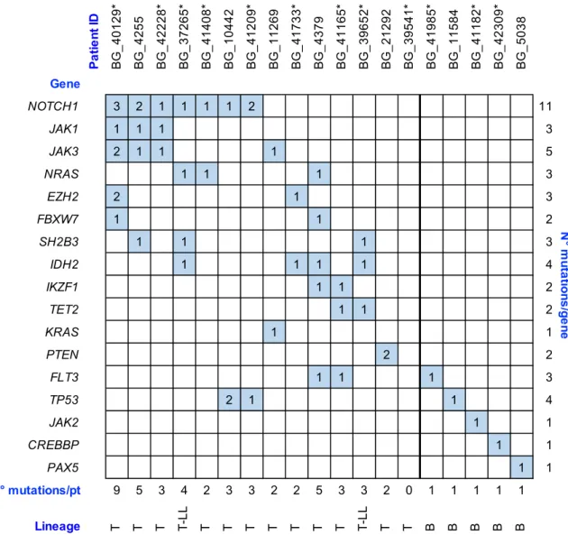 Figure  1.  Summary  of  gene  variants  identified  in  19  adult  acute  lymphoblastic  leukemia  (ALL)/lymphoblastic lymphoma (LL) patients