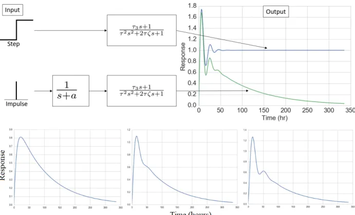 Figure 3.8: Schematic of impulse-response behaviors to explore in order to address current method- method-ological weaknesses