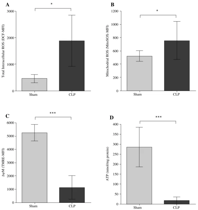 Fig. 1. Polymicrobial sepsis induces mitochondrial dysfunction in peritoneal leukocytes