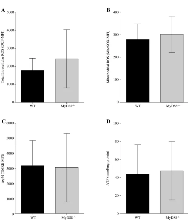 Fig. 2. MyD88 deletion plays an unimportant role in leukocyte mitochondrial dysfunction during polymicrobial sepsis