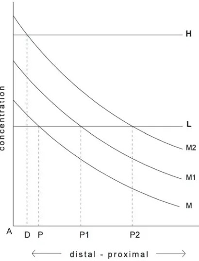 Fig. 5. L (lower) and H (higher) thresholds for Morphogens and thresholds. Normal morphogen gradient M withHoxa13 activation