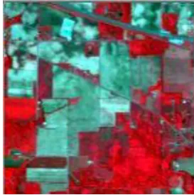 Figure 2. The Image to be used as input 