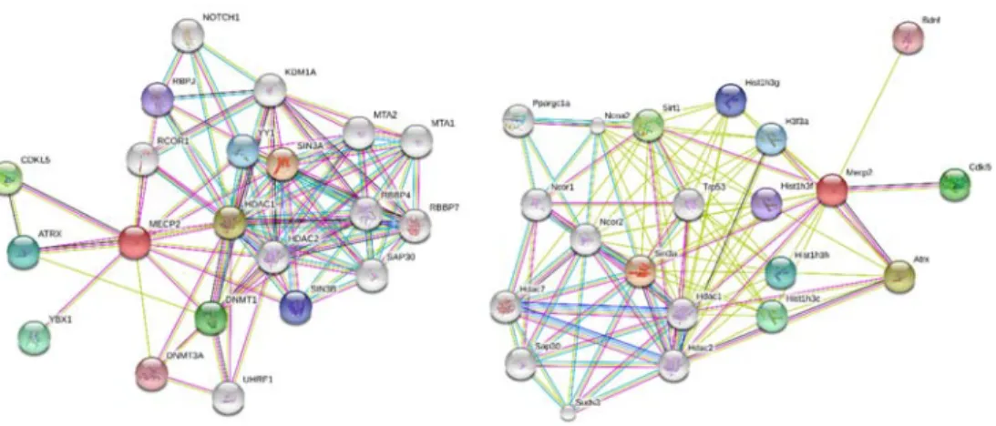 Figure 1.2.4.  Examples of gene interaction networks.  Properties of networks as a whole can  become apparent that would not be appreciated by studying individual genes