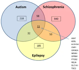 Table 2.1.1.  GO enrichment analysis of the 11 genes shared by autism, schizophrenia,  and epilepsy
