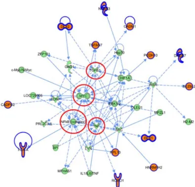 Figure 2.1.5.  Network 2  derived from the ASD  highly expressed gene set.  