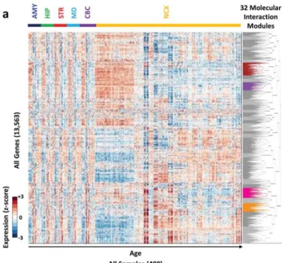 Figure 2.2.5. Transcriptome-wide Molecular Interaction  Network. (a) A heat-map of the co-expression of 13,563 genes  (rows) across all 480 samples (columns)