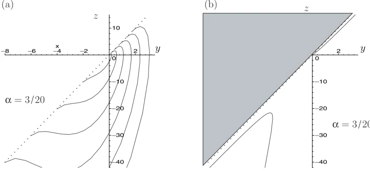 Figure 8. (a) Typical phase paths for the system (8.9) (in this casewhich α = 3/20); (b) null-clines on z′ = 0 (solid lines)