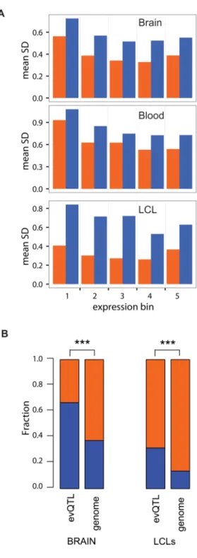 Figure 3. Genes with MAE status show elevated expression level variation and are  overrepresented among genes targeted by evQTL variants across tissues