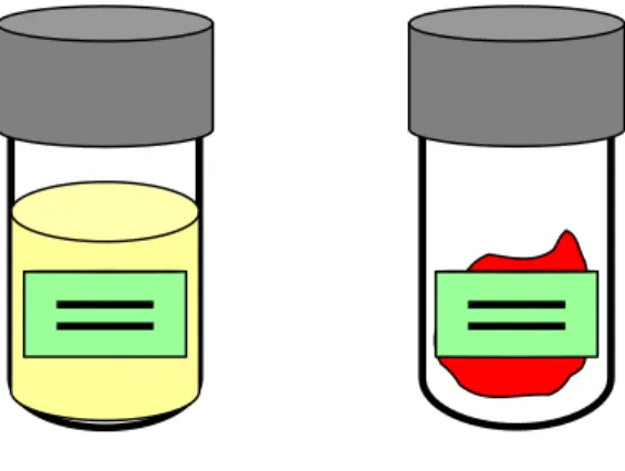 Diagram 1: Packing and Shipping Category B Diagnostic Samples 