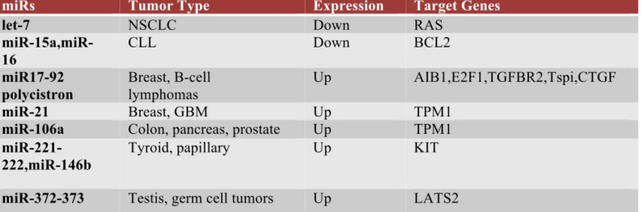 Table 1.2 Tumor-associated microRNAs and their validated target genes [51]  