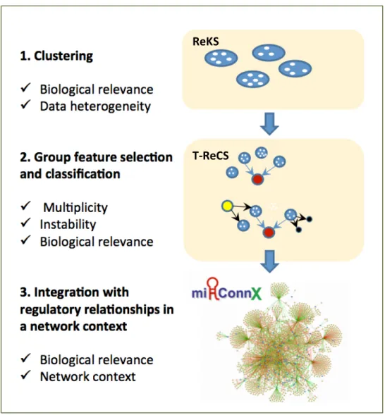 Figure 1.3 Overall approach of the proposed module-based biomarker discovery framework 