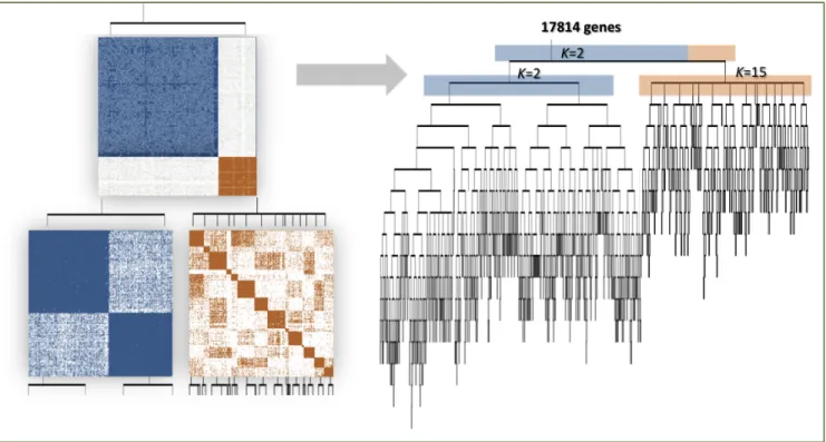 Figure 2.2 Demonstration of the ReKS method on the GBM dataset. 