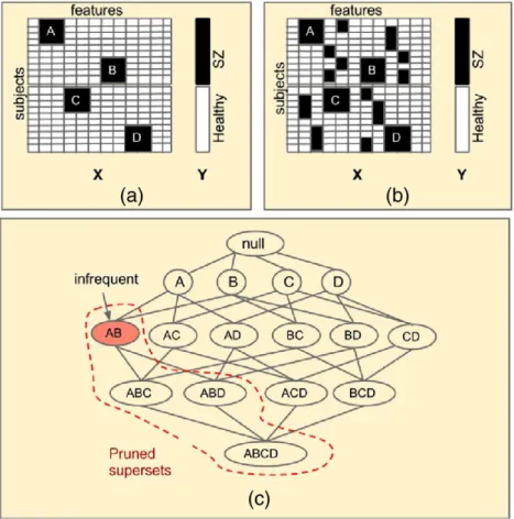 Fig. 2. Illustration of combinatorial biomarker discovery: (a and b) X is a hypothetical data matrix where columns represent features derived from neuroimaging data and rows represent subjects