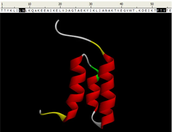 Fig. 2. FLOPRED Predictions for G A 98 protein