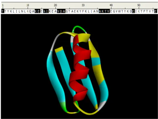 Fig. 3. FLOPRED Predictions for G B 98 protein