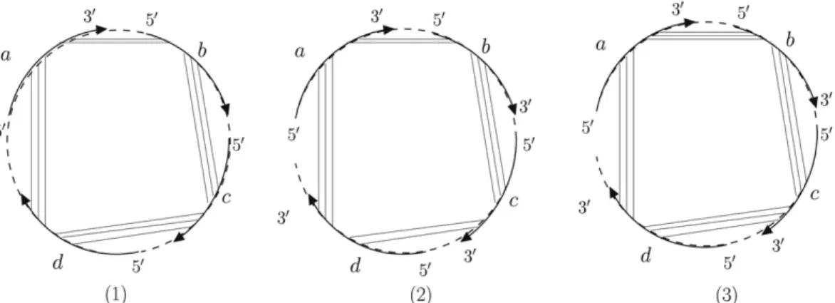Fig. 4. Polymer graphs of four interacting strands. (1) The structure has 1-fold rotational symmetry (i.e