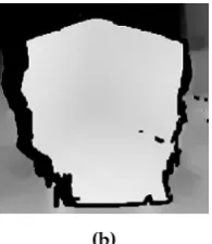 Figure 2. RGB Image (a) and depth map (b), taken with the 3D vision sensor.