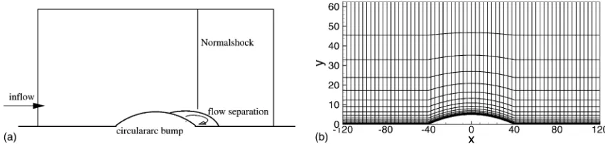 Fig. 1. Turbulent ﬂow over a circular-arc bump: (a) a sketch of conﬁguration; (b) typical computational grid (only a selection of grid lines are shown).