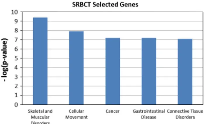 Fig. 1 Top five high-level biological function on selected 150 genes of SRBCT by improved RLDA-based feature selection method