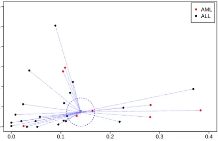 Figure 2.3: k-nearest neighbour framework in a 2-dimensional feature space for ‘Leukaemia’ dataset