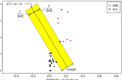 Figure 2.4: Support vector classifier in a 2-dimensional feature space for the ‘Leukaemia’ dataset with a two linearly separable classes: Acute Myeloid Leukemia (AML) shown in red dots; Acute Lymphoblast Leukemia (ALL) shown in black dots