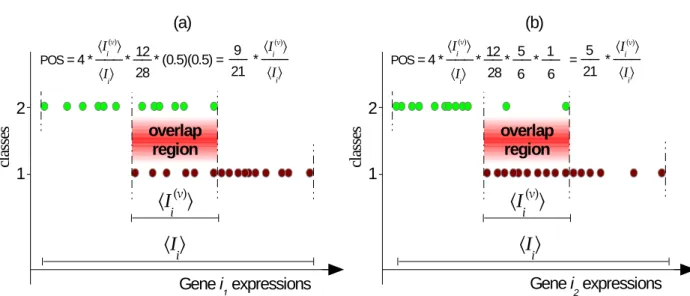 Figure 4.3: Examples for expression values of 2 genes distinguishing between 2 classes: (a) gene i 1 has overlapping observations distributed as 1:1, (b) gene i 2 has its overlapping observations distributed as 5:1 for class1:class2.