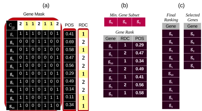 Figure 5.2: An example of the POS method: (a) genes with their masks, proportional overlapping scores, and relative dominant classes; (b) minimum gene subset obtained by Algorithm 4.1, and gene list ranked by POS and RDC; (c) final ranking, and selected ge