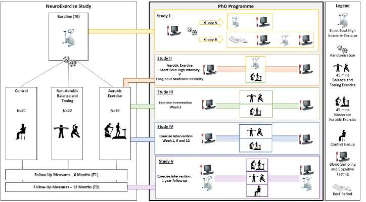 Figure 2:4 Timeline outlining PhD studies relative to the NeuroExercise Study 