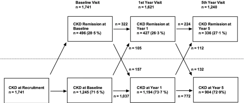 Fig 2. Flowchart showing numbers of participants demonstrating CKD and CKD remission at each study visit