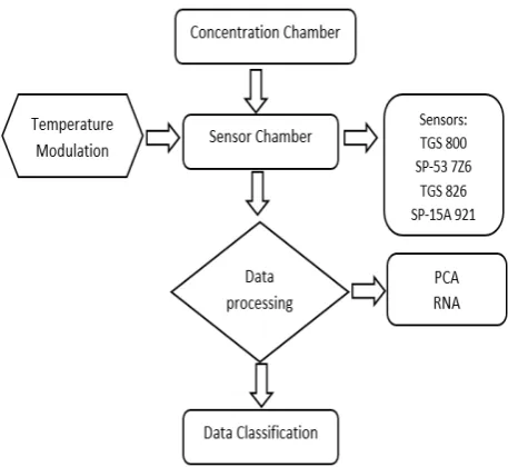 Figure 3. Scheme of measurement and data analysis. 