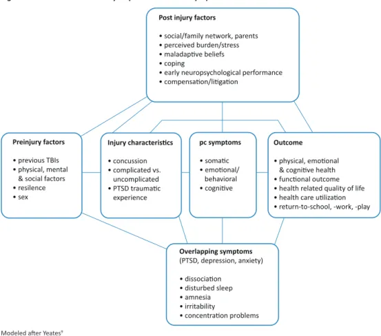 Figure 1. A model for the study of post-concussion symptoms after mTBI 