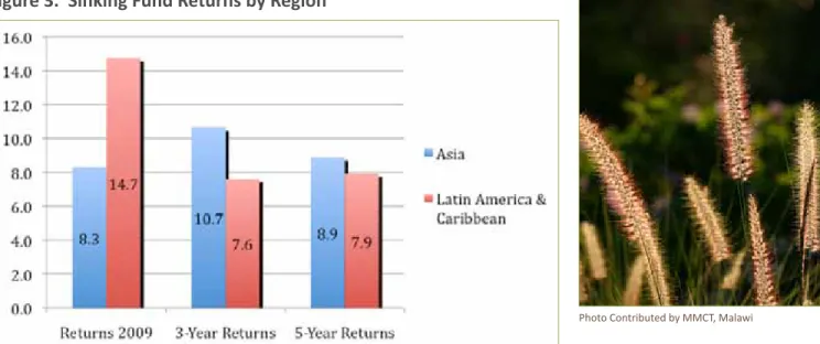 Figure 4.  Endowment and Sinking Fund Returns