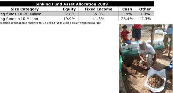 Table 8.  Endowment Funds Asset Allocation 