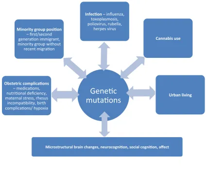 Figure   1.1.   Epigenetic   model   of   schizophrenia   (van   Os   et   al.,   2010)