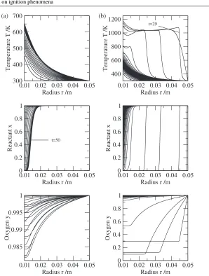 Figure 4. Subcritical behaviour (behaviour (a) P = 4.65 W to t = 50 min in steps of 2.5 min and supercriticalb) P = 4.75 W to t = 30 min in steps of 1 min for N = 0.1 and r0 = 0.01 m.