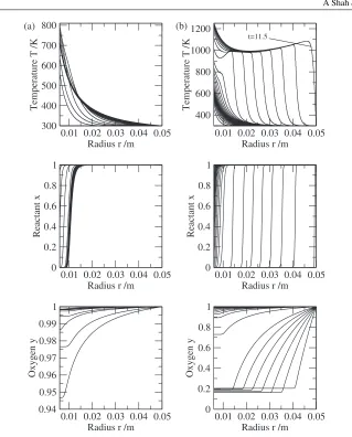 Figure 3. Subcritical behaviour (behaviour (a) P = 3.57 W to t = 50 min in steps of 2.5 min and supercriticalb) P = 3.58 W to t = 11.5 min in steps of 0.5 min for N = 0.1 and r0 = 0.006 m.
