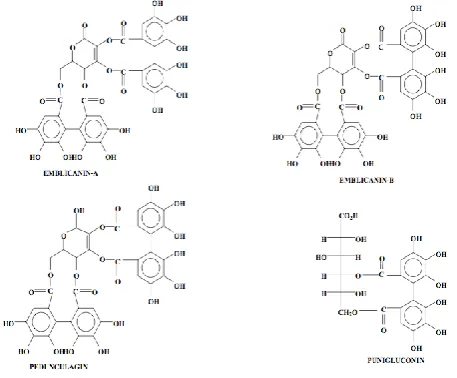 Table No: 7Pharmacology And Research Amla 