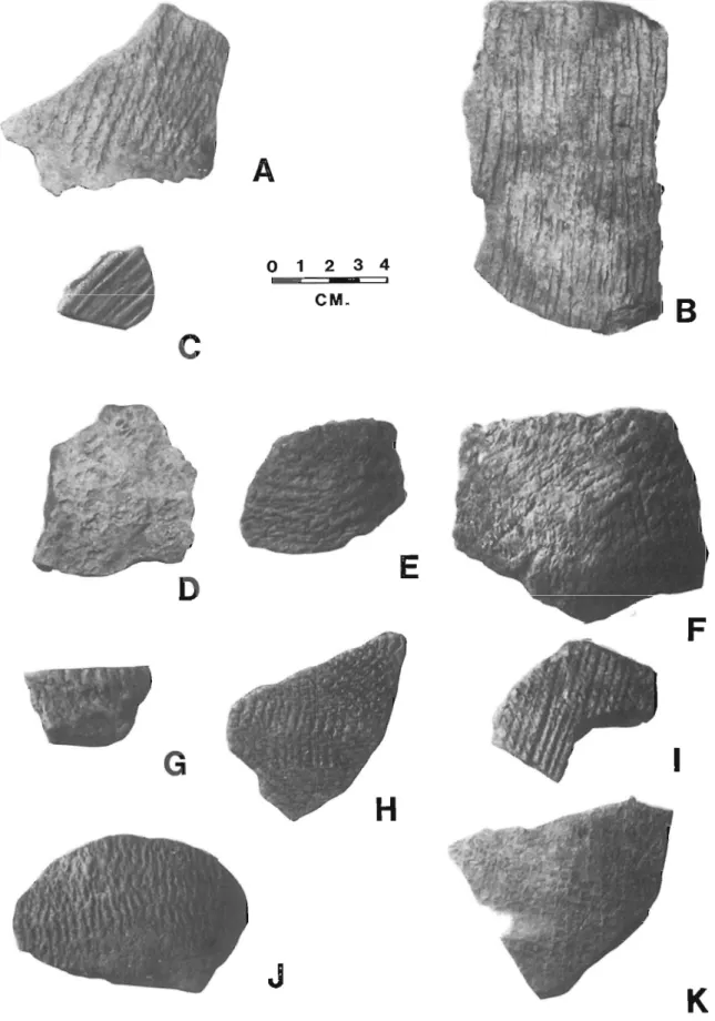 Figure  9.  Examples  of  pottery  recovered  from  38BU833.  A-B,  Deptford  Cord  Marked; 