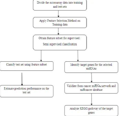 Figure 1.Procedure for Cancer Biomarkers Identification 