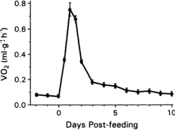 Fig.  1.  Oxygen consumption rates (VO2 as ml  g- 'h-')  of five-week-old hatchling Python  molurus  (n 