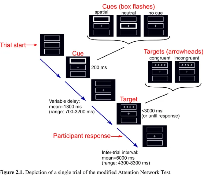 Figure 2.1. Depiction of a single trial of the modified Attention Network Test. 