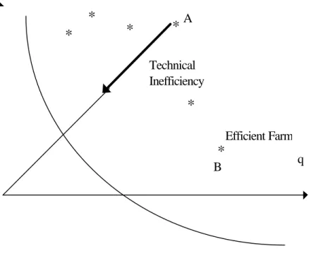 Figure 4: The Stochastic Frontier and the Definition of Technical Efficiency****** KLTechnicalInefficiencyEfficient FarmABq