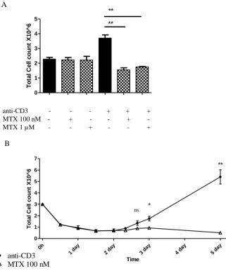 Figure 3.8. Methotrexate reduces the PBMC cell count during anti-CD3-activation. 