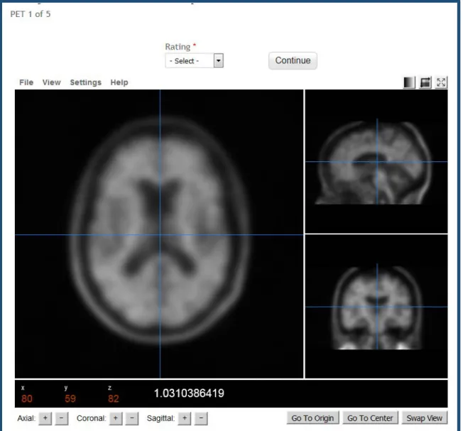 Figure 3-14: PET rating interface and individual PET to rate. 