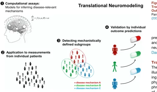 Figure 8. Graphical Summary of the Translational Neuromodeling Strategy Outlined in This Paper
