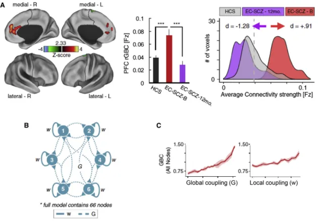 Figure 2. Application of a BNM to fMRI Data from Patients with Schizophrenia
